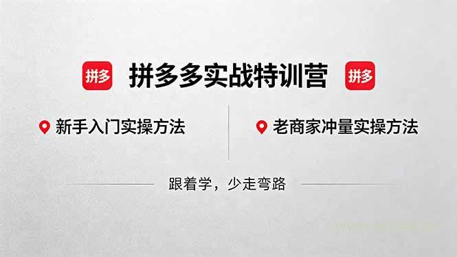 拼多多实战特训营(更新5月3-A5资源网