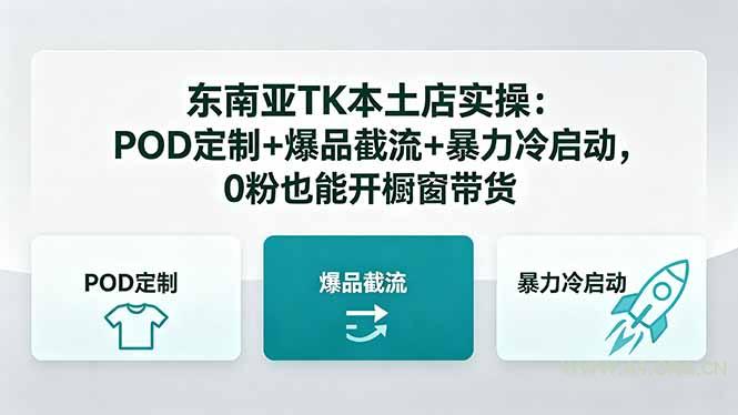 东南亚TK本土店实操：POD定制+爆品截流+暴力冷启动，0粉也能开橱窗带货-A5资源网