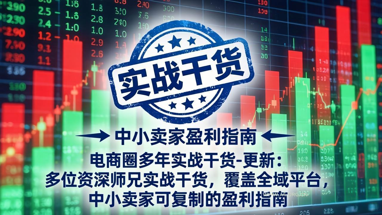 电商圈多年实战干货-更新5月10：多位资深师兄实战干货/覆盖全域平台，中小卖家可复制的盈利指南-A5资源网