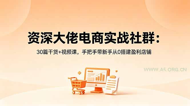 资深大佬电商实战社群：30篇干货+视频课，手把手带新手从0搭建盈利店铺-A5资源网