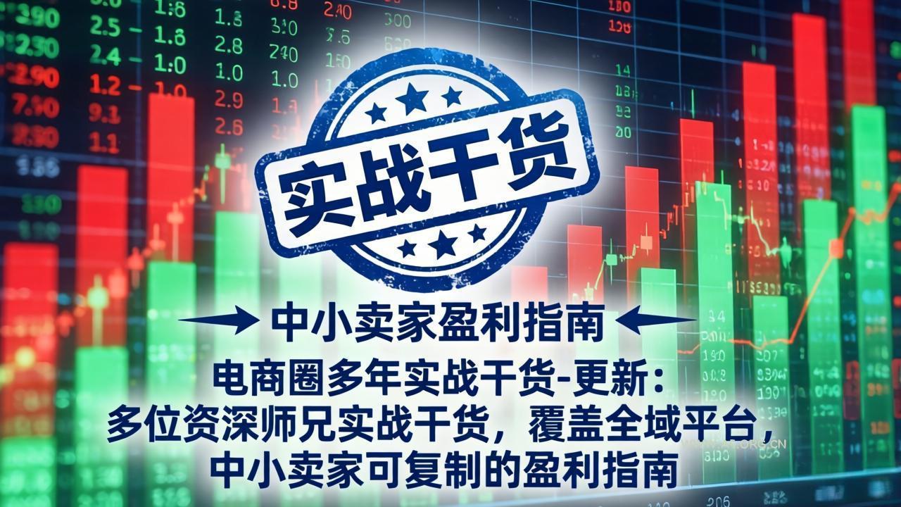 电商圈多年实战干货-更新5月20：多位资深师兄实战干货/覆盖全域平台，中小卖家可复制的盈利指南-A5资源网