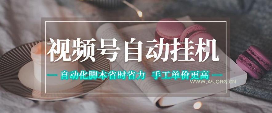 视频号自动挂G项目，自动化脚本省时省力，手工单价更高，日入300+全网最稳【揭秘】-小红泡