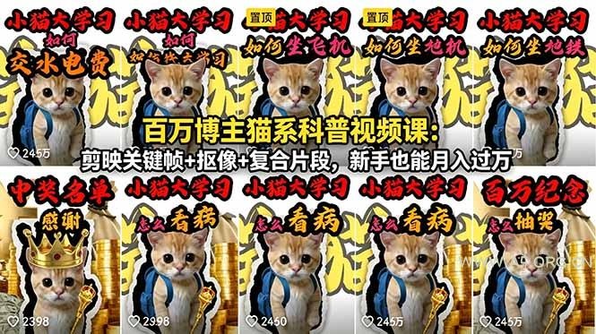 百万博主猫系科普视频课：剪映关键帧+抠像+复合片段，新手也能月入过万-小红泡