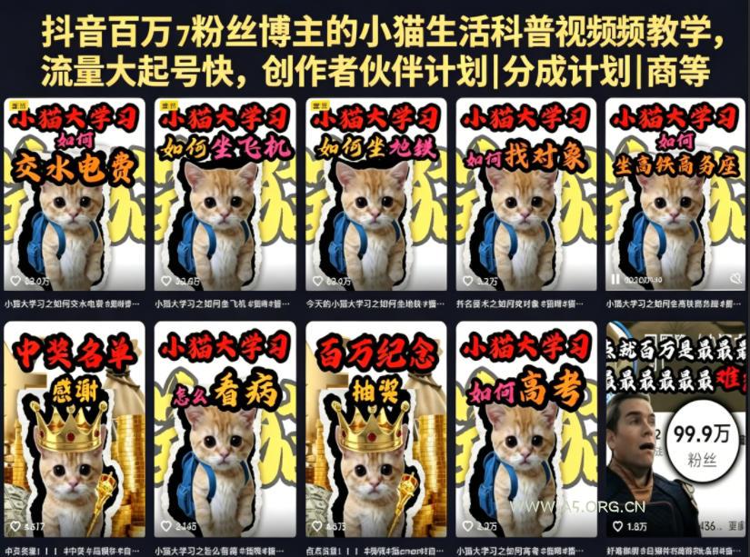 抖音百万粉丝博主的小猫生活科普视频教学,流量大起号快,创作者伙伴计划|分成计划|商单|收徒等 - 小红泡 抖音百万粉丝博主的小猫生活科普视频教学,流量大起号快,创作者伙伴计划|分成计划|商单|收徒等