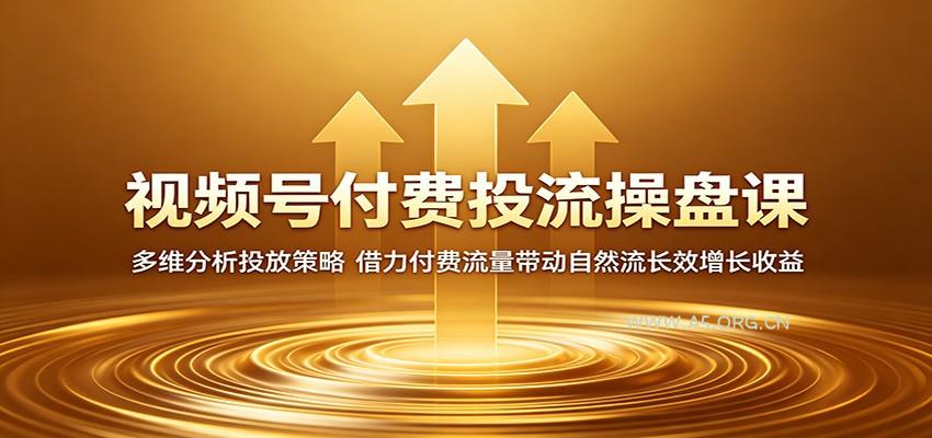 视频号付费投流操盘课:多维分析投放策略,借力付费流量带动自然流长效增长收益-小红泡