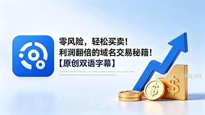 零风险，轻松买卖！利润翻倍的域名交易秘籍！【原创双语字幕】-小红泡