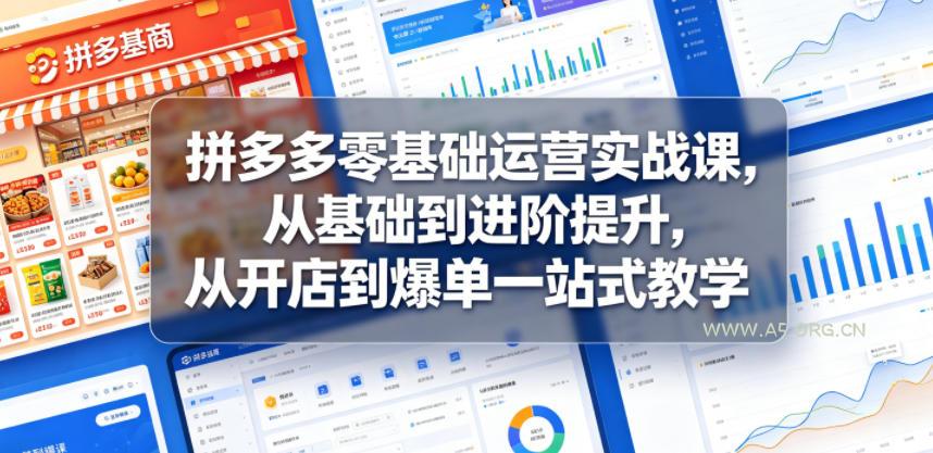 拼多多零基础运营实战课,从基础到进阶提升,从开店到爆单一站式教学 - 小红泡 拼多多零基础运营实战课,从基础到进阶提升,从开店到爆单一站式教学