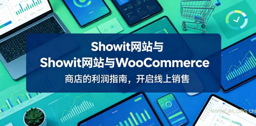 Showit网站与WooCommerce商店的利润指南，开启线上销售【原创双语字幕】-小红泡