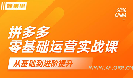 仙道电商·拼多多零基础运营实战课 - 小红泡 仙道电商·拼多多零基础运营实战课 - 小红泡
