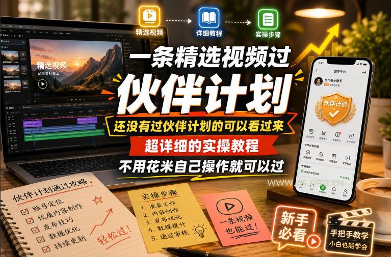 一条精选视频过伙伴计划，还没有过伙伴计划的可以看过来，超详细的实操教程，不用花米自己操作就可以过-小红泡