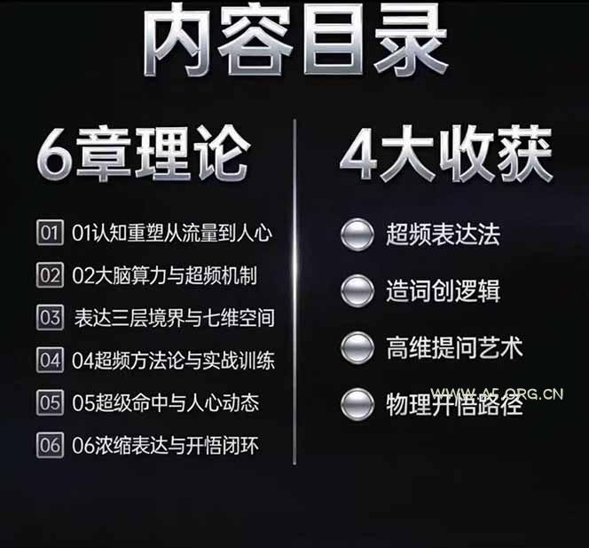 马大个高维表达全套实战课，跳出普通口才教学，大脑超频训练打造原创思想IP体系 - 小红泡