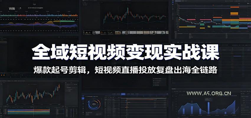 全域短视频变现实战课：爆款起号剪辑，短视频直播投放复盘出海全链路 - 小红泡