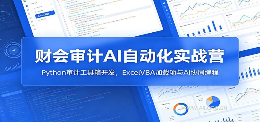 财会审计AI自动化实战营：Python审计工具箱开发，ExcelVBA加载项与AI协同编程 - 小红泡