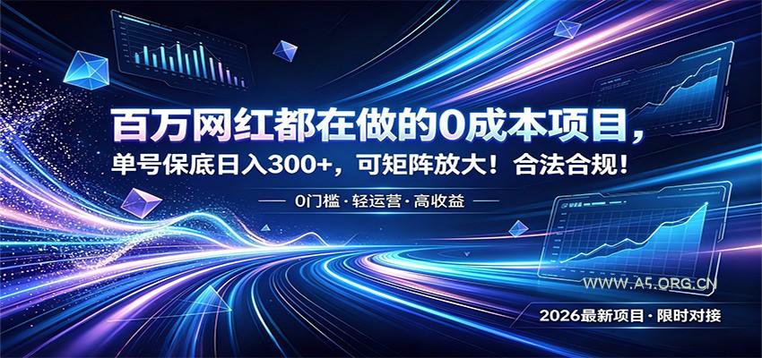 百万网红都在做的0成本项目，单号保底日入300+，可矩阵放大！合法合规！ - 小红泡
