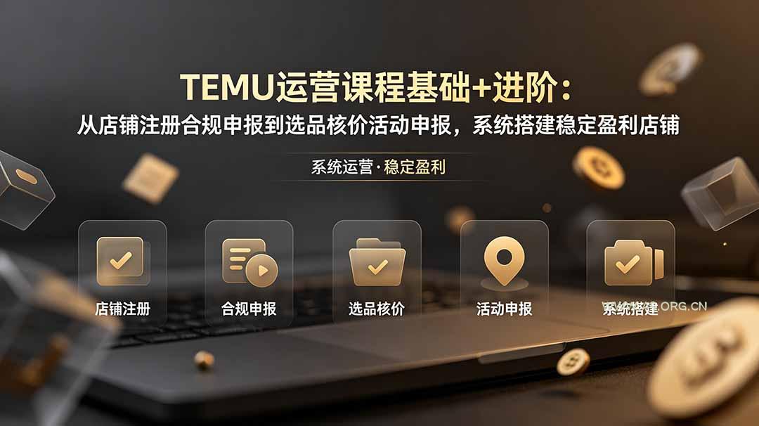 TEMU运营课程(基础+进阶 - 小红泡 TEMU运营课程(基础+进阶 - 小红泡
