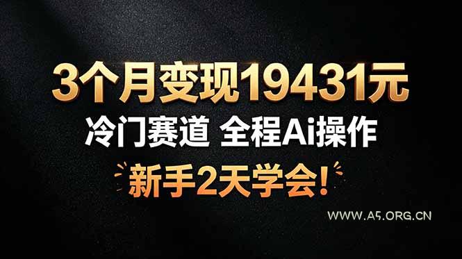 3个月变现19431元，冷门赛道 全程Ai操作，新手2天学会！ - 小红泡