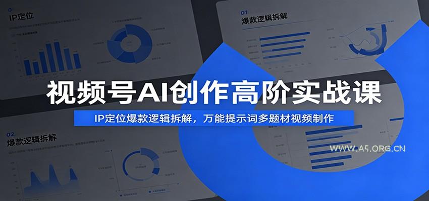 视频号AI创作高阶实战课：IP定位爆款逻辑拆解，万能提示词多题材视频制作 - 小红泡