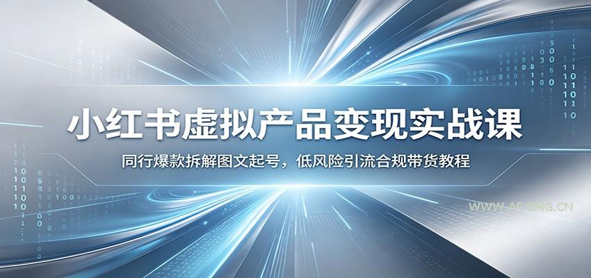 小红书虚拟产品变现实战课：同行爆款拆解图文起号，低风险引流合规带货教程 - 小红泡