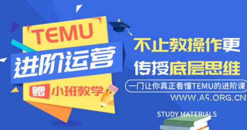 阿卡林&middot;TEMU运营课程(基础+进阶) - 小红泡