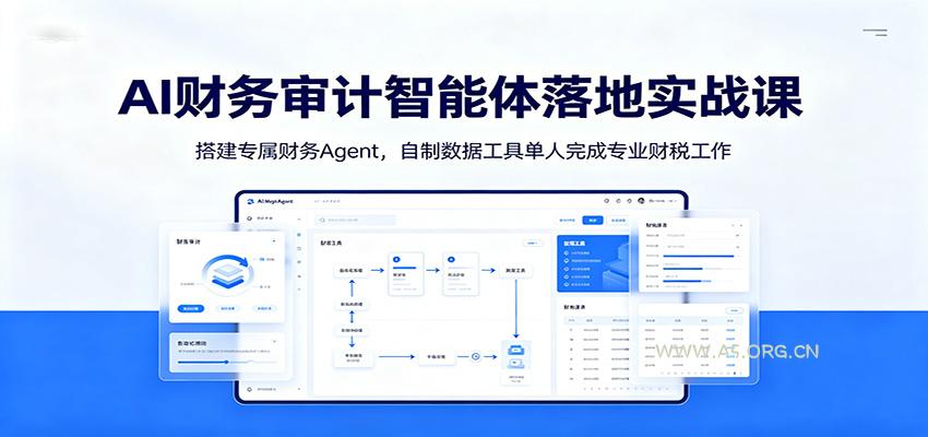 AI财务审计智能体落地实战课：搭建专属财务Agent，自制数据工具单人完成专业财税工作 - 小红泡