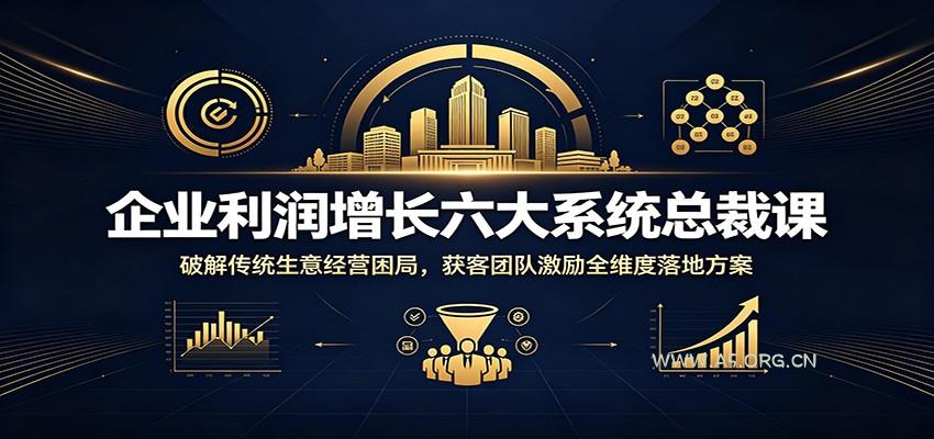 企业利润增长六大系统总裁课：破解传统生意经营困局，获客团队激励全维度落地方案 - 小红泡