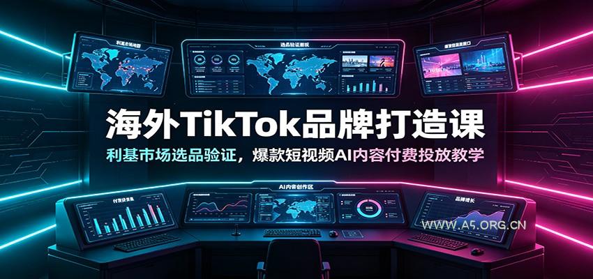 海外TikTok品牌打造课：利基市场选品验证，爆款短视频AI内容付费投放教学 - 小红泡
