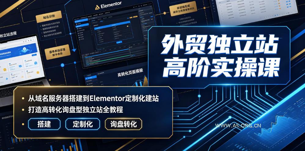 外贸独立站高阶实操课｜从域名服务器搭建到Elementor定制化建站，打造高转化询盘型独立站全教程