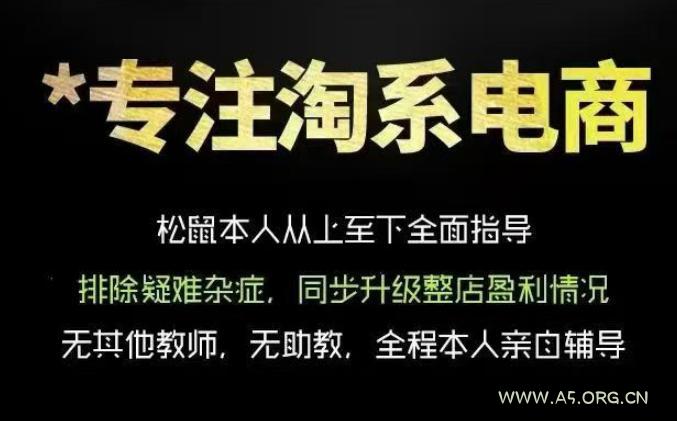 松鼠会电商VIP课程，从基础布局到高阶优化，助你掌握淘宝运营逻辑，提升店铺流量与转化（更新0711）