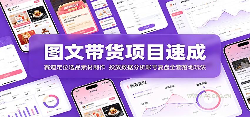 图文带货项目速成：赛道定位选品素材制作，投放数据分析账号复盘全套落地玩法 - 小红泡