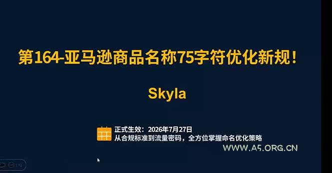 亚马逊跨境实战课：全品类选品逻辑｜SP/SB/SD广告精细化｜新品打爆旺季爆单全套运营教程 - 小红泡