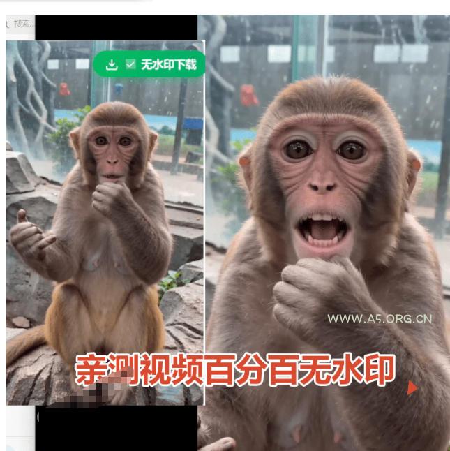 豆包无水印下载终于来了!支持豆包图片/视频,目前唯一免费使用的插件,浏览器拓展 - 小红泡 豆包无水印下载终于来了!支持豆包图片/视频,目前唯一免费使用的插件,浏览器拓展