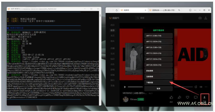 Github热门工具，视频号下载神器又来了！一键注入下载按钮，轻松下载，使用便捷wx_channel