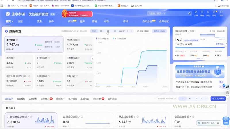 淘宝VIP特训课：蓝海选品+付费投放｜短视频AI运营｜大促起爆全流程，破解店铺无流量无利润难题 - 小红泡
