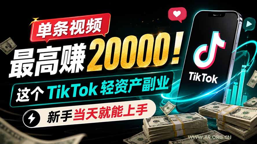 单条视频最高赚 20000！这个 TikTok 轻资产副业，新手当天就能上手 - 小红泡