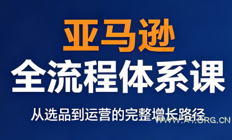 跨境大武当·亚马逊全流程体系课 - 小红泡 跨境大武当·亚马逊全流程体系课 - 小红泡