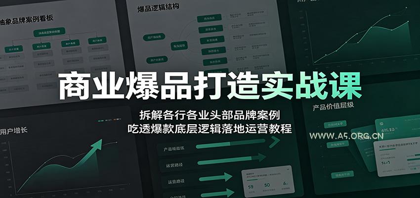 商业爆品打造实战课：拆解各行各业头部品牌案例，吃透爆款底层逻辑落地运营教程 - 小红泡