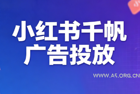 王烽哥&middot;小红书千帆广告投放课程 - 小红泡