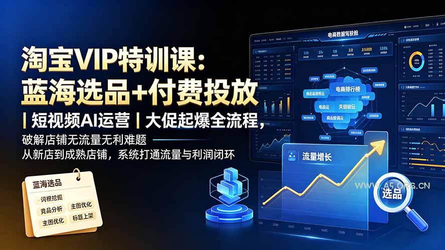 淘宝VIP特训课-更新：蓝海选品+付费投放｜短视频AI运营｜大促起爆全流程，破解店铺无流量无利润难题 - 小红泡