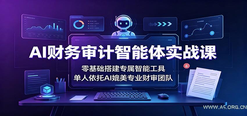 AI财务审计智能体实战课：零基础搭建专属智能工具，单人依托AI媲美专业财审团队 - 小红泡