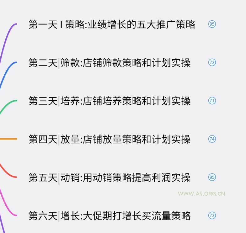 淘宝高阶运营私家课(更新26年 - 小红泡