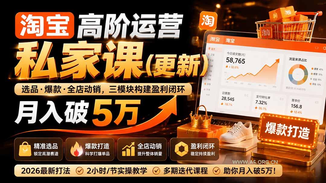 淘宝高阶运营私家课(更新26年 - 小红泡
