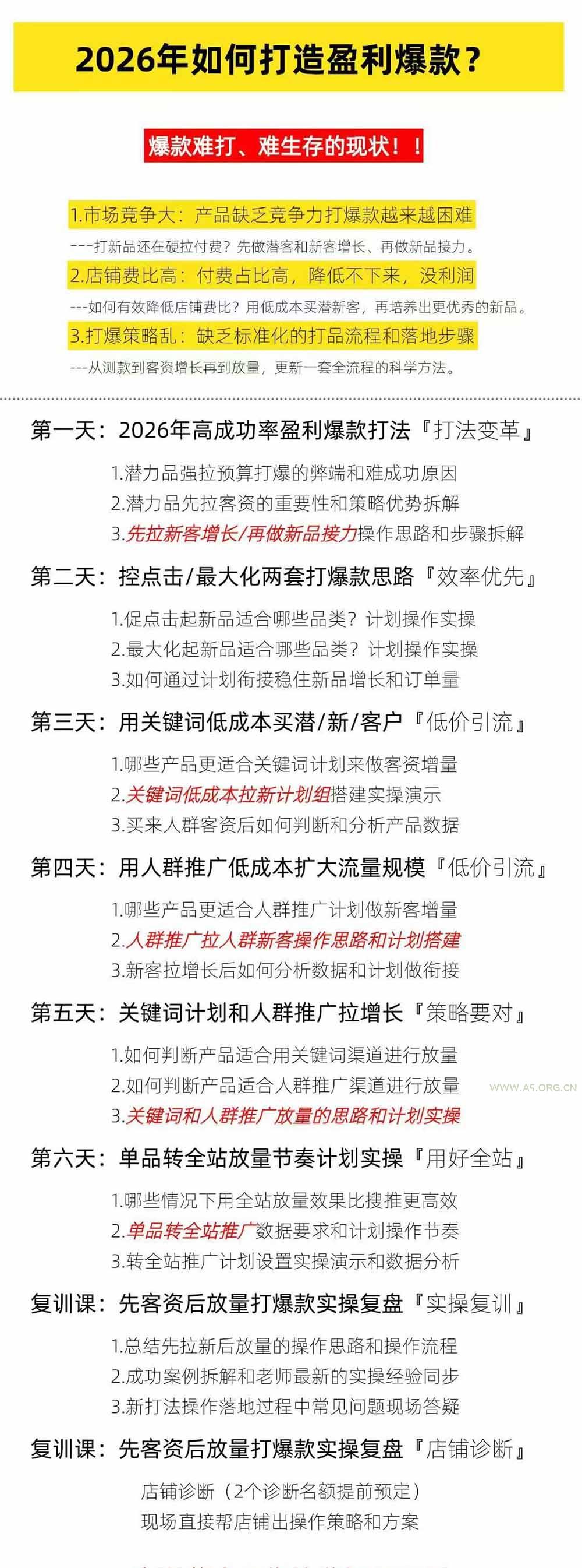 淘宝高阶运营私家课(更新26年 - 小红泡