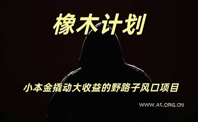 橡木计划,小投入撬动高回报的风口野路子项目,一天投入2小时左右 - 小红泡 橡木计划,小投入撬动高回报的风口野路子项目,一天投入2小时左右 - 小红泡