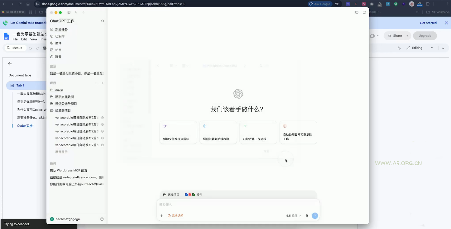 大卫·外贸人Codex + WordPress建站课(更新8月) - 小红泡 大卫·外贸人Codex + WordPress建站课(更新8月) - 小红泡