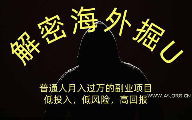 解密海外掘U，普通人月入过万的副业项目，低投入、低风险高回报，没有之一 - 小红泡