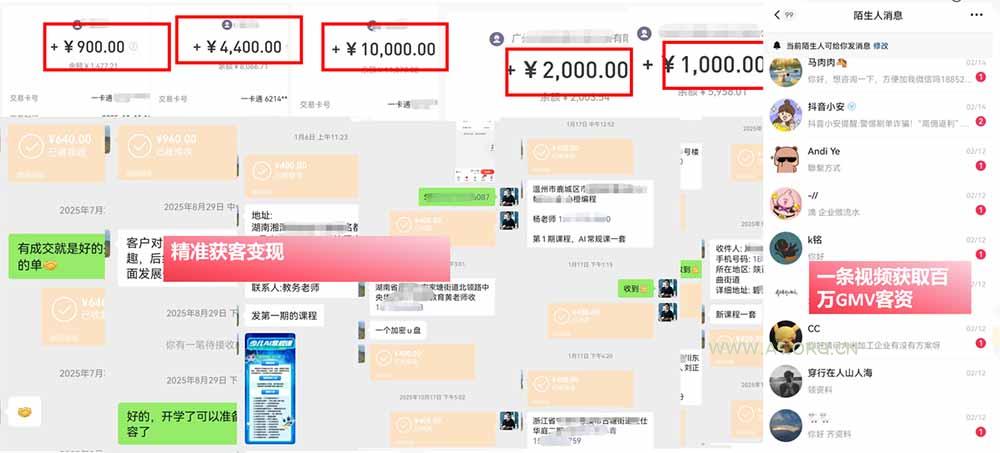 IP+爆款视频训练营全链路实战教学；赛道定位+起号+爆款创作+私域引流+商业变现，搭建专属个人流量体系 - 小红泡