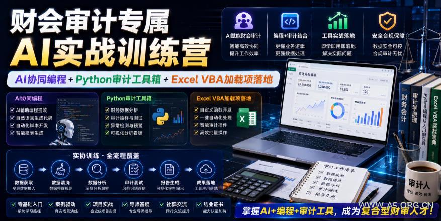 财会审计专属AI实战训练营｜AI协同编程+Python审计工具箱+Excel VBA加载项落地（更新0816）