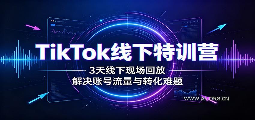 TikTok线下特训营：3天线下现场回放，解决账号流量与转化难题 - 小红泡