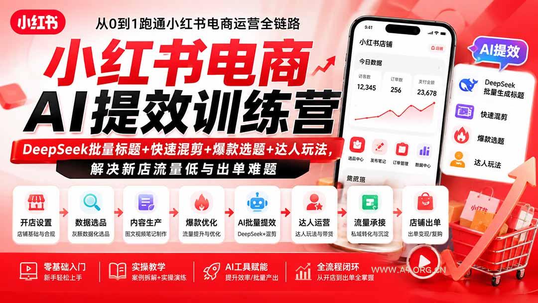 小红书电商AI提效训练营&mdash;DeepSeek批量标题+快速混剪+爆款选题+达人玩法，解决新店流量低与出单难题 - 小红泡