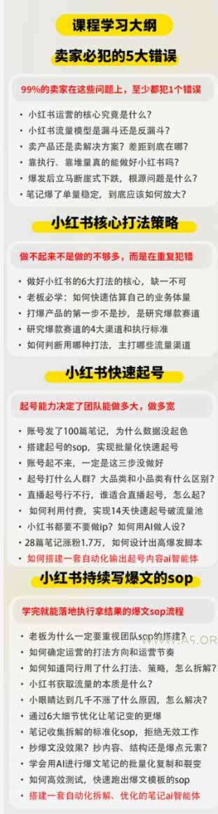 小红书高利润AI经营课2026年7.18-20：起号+爆文+付费+达人+私域，利用AI与SOP实现团队人效翻倍增长 - 小红泡